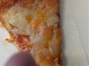 Extra "cheese" pizza