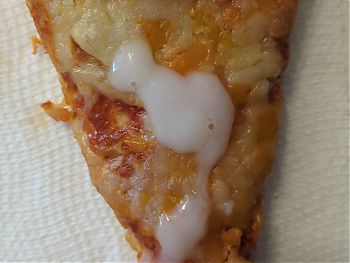 Extra "cheese" pizza